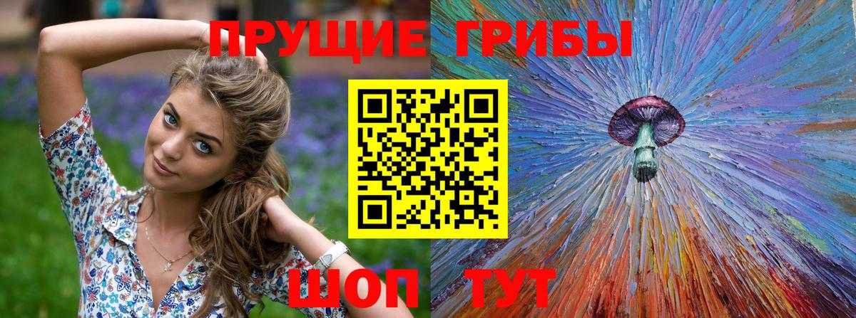 Майкоп  Псилоцибиновые грибы мухоморы  Вход с VPN  Псилоцибиновые грибы ЛСД 